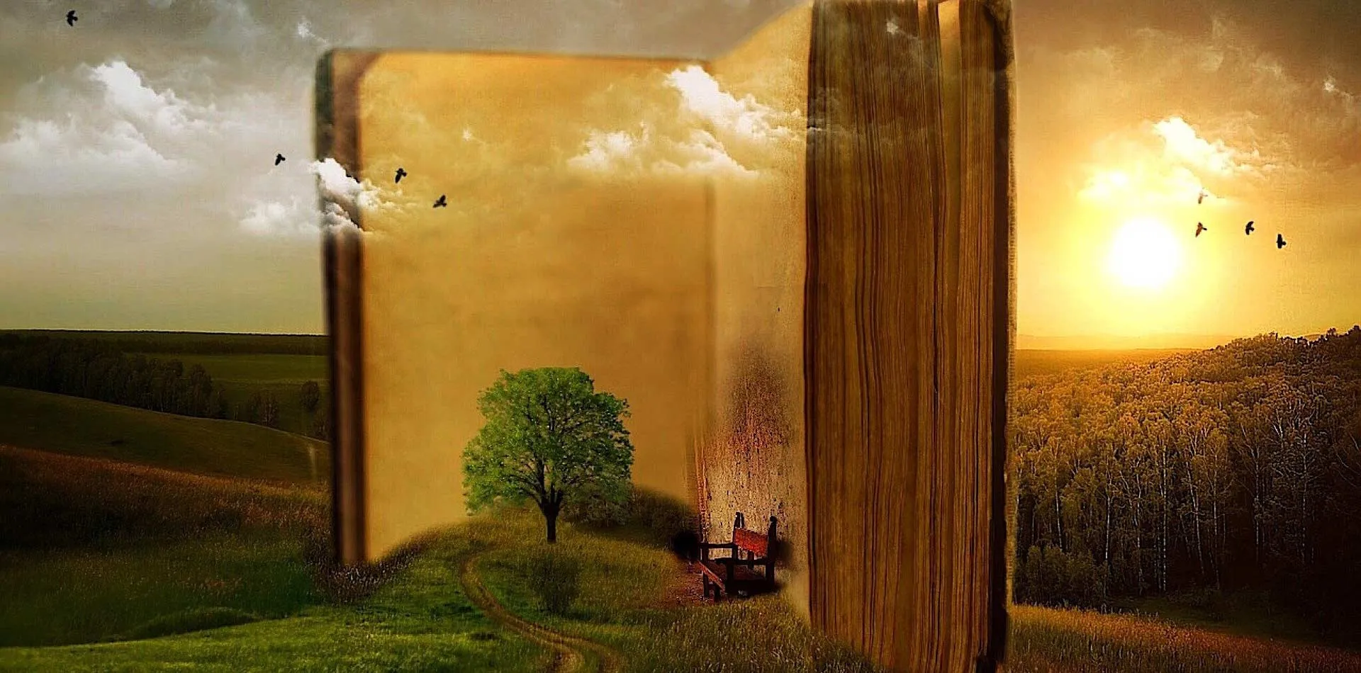 Open book depicting scenery with a tree
